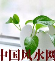 无锡家中摆放六种吉祥物，会打开您的财运大门！